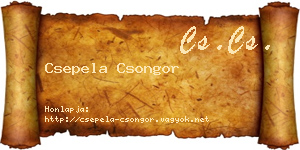 Csepela Csongor névjegykártya